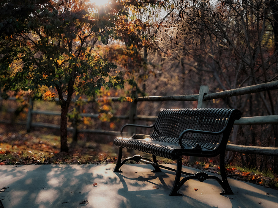 Different Types of Park Benches and How to Choose the Right One